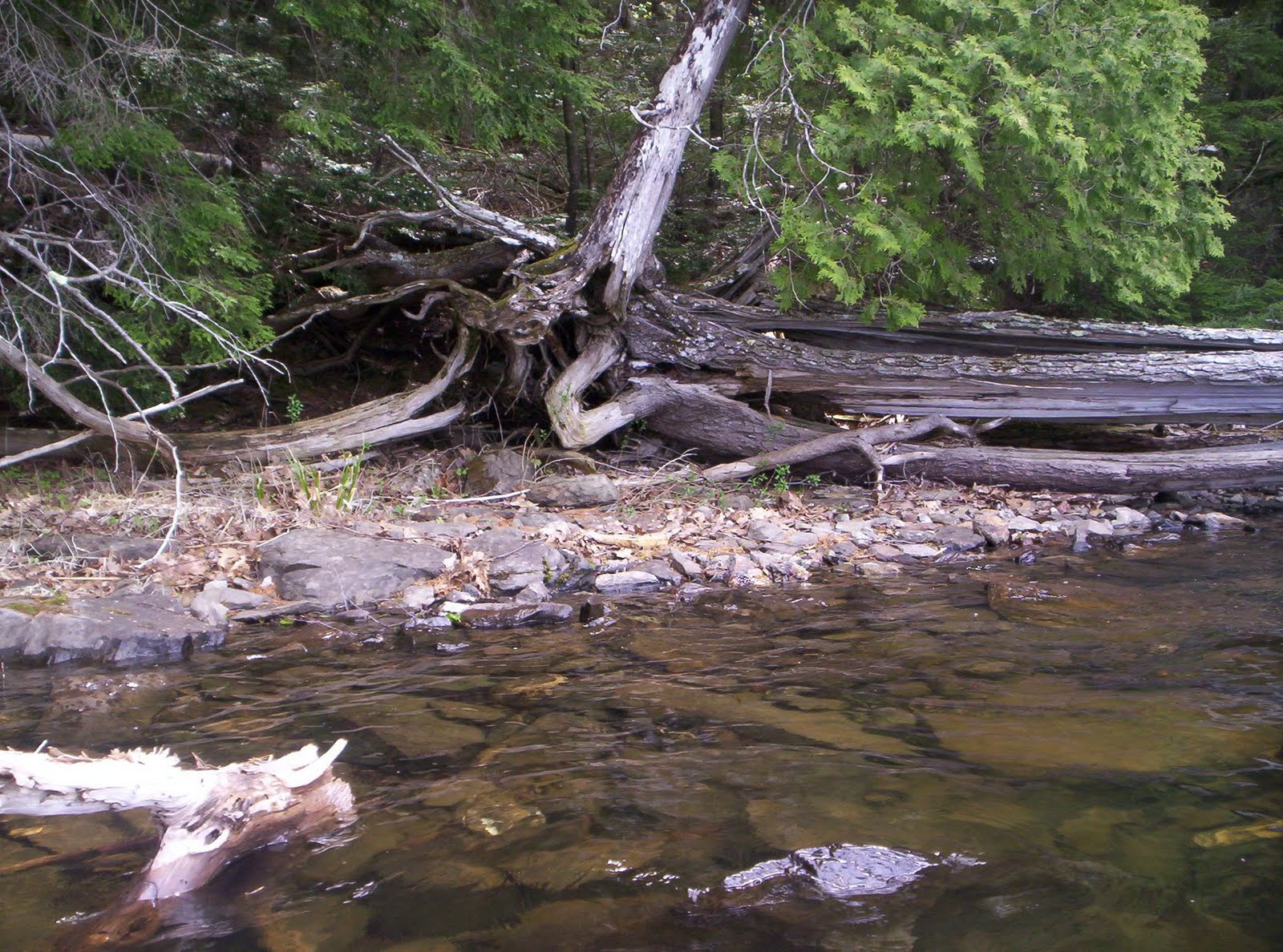 Friends of Sebago Lake China Lake , Maine Department of Environmental
