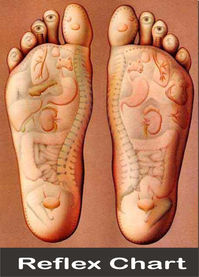 HEALING WAYS FOOT REFLEX CHART