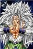 Broly SSJ5