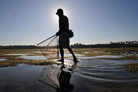 [2009+in+Indonesia+10.jpg]