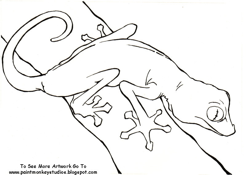 Paintmonkey Studios: Geckos!