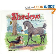 Review: Shadow The Curious Morgan Horse