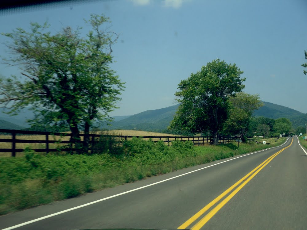 Anathemum August 2010