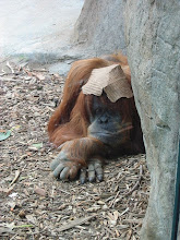 this is how I feel...