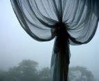 [Misty+Curtain.jpg]
