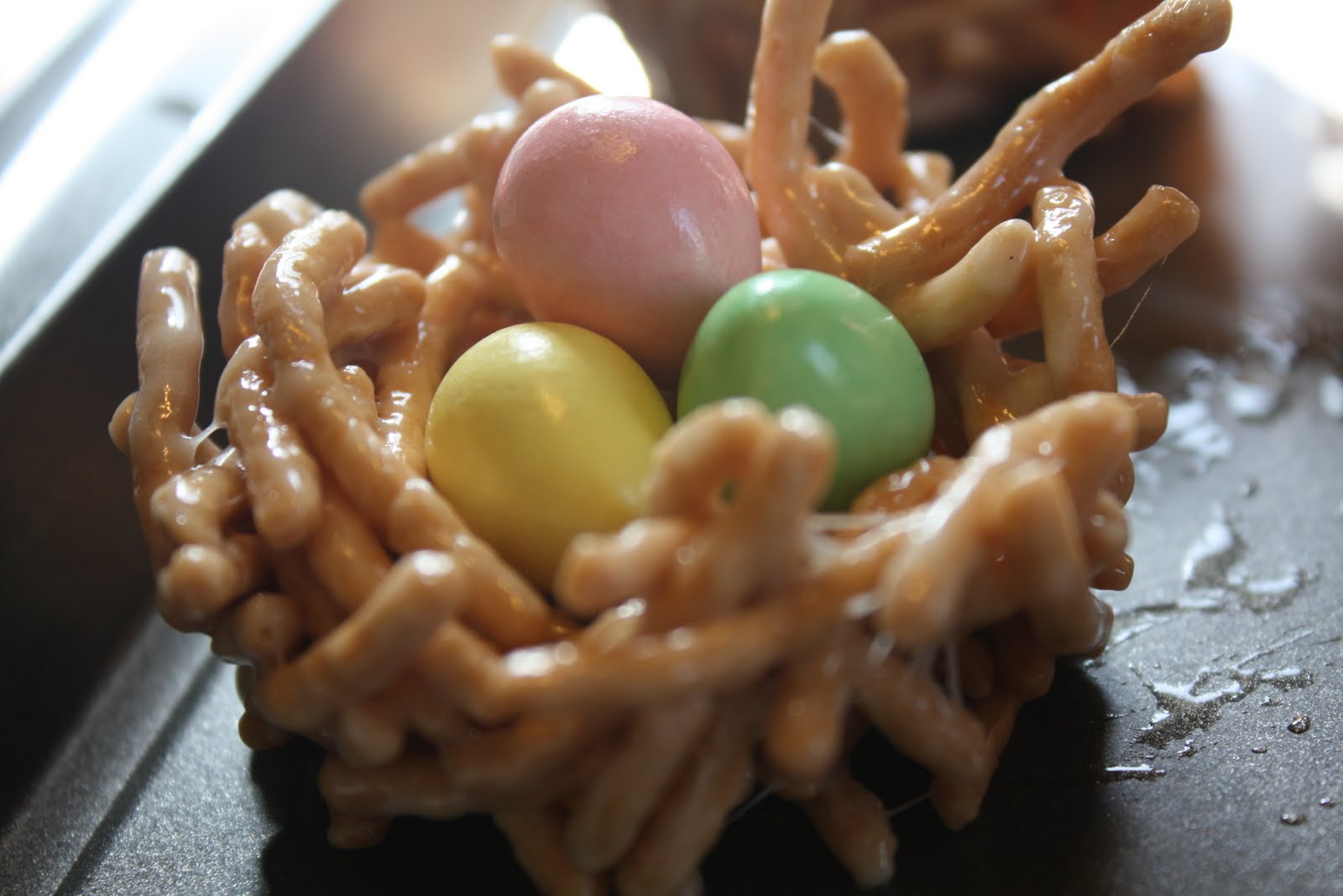 Between Bliss and Madness: Edible Bird's Nest