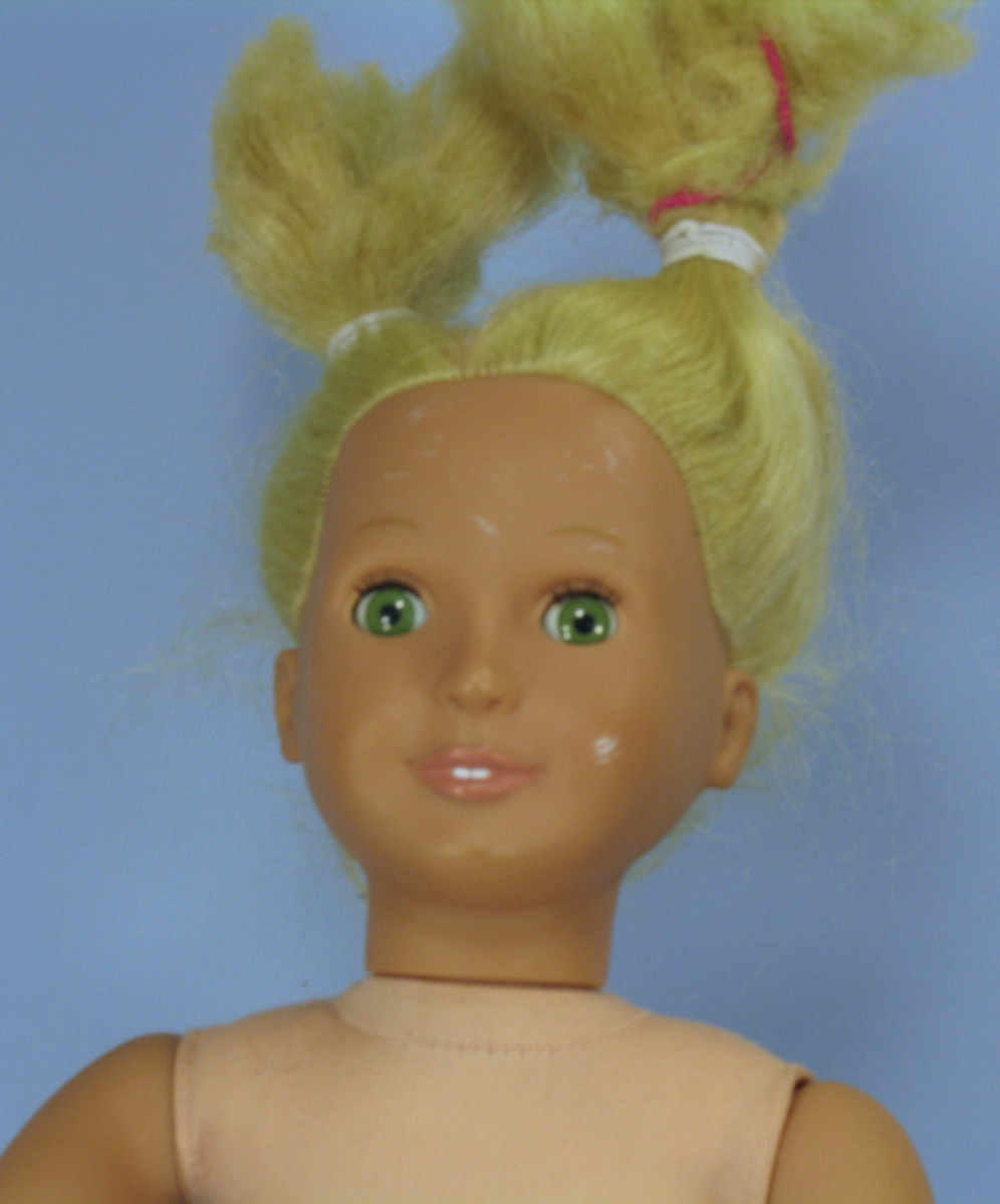 Beach Baby Doll's Blog Saga of the Bad Hair Day Part 1