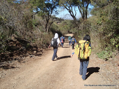 La brecha que nos lleva de Cerro Viejo a San Miguel Cuyutlán