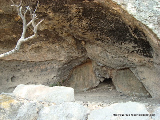 Entrada de la cueva de los murciélagos