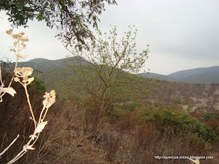 Otra vista de la Sierra de Cuisillos