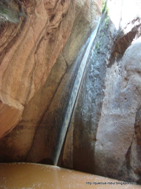 El rapel de los 25 metros en el cañón el Aguacatillo
