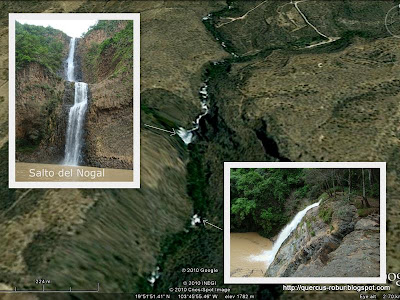 Terreno en el Salto del Nogal