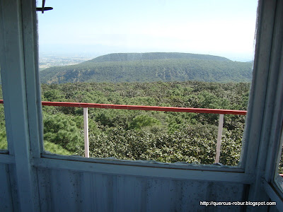 Cerro el Chapulín visto desde Torre 2 (BLP)