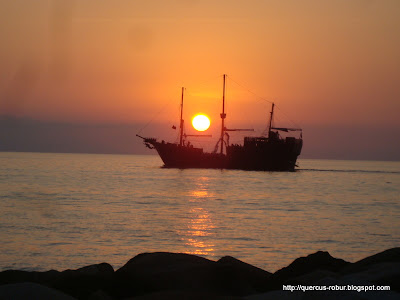 Atardecer en Vallarta - Barco de Piratas del Caribe
