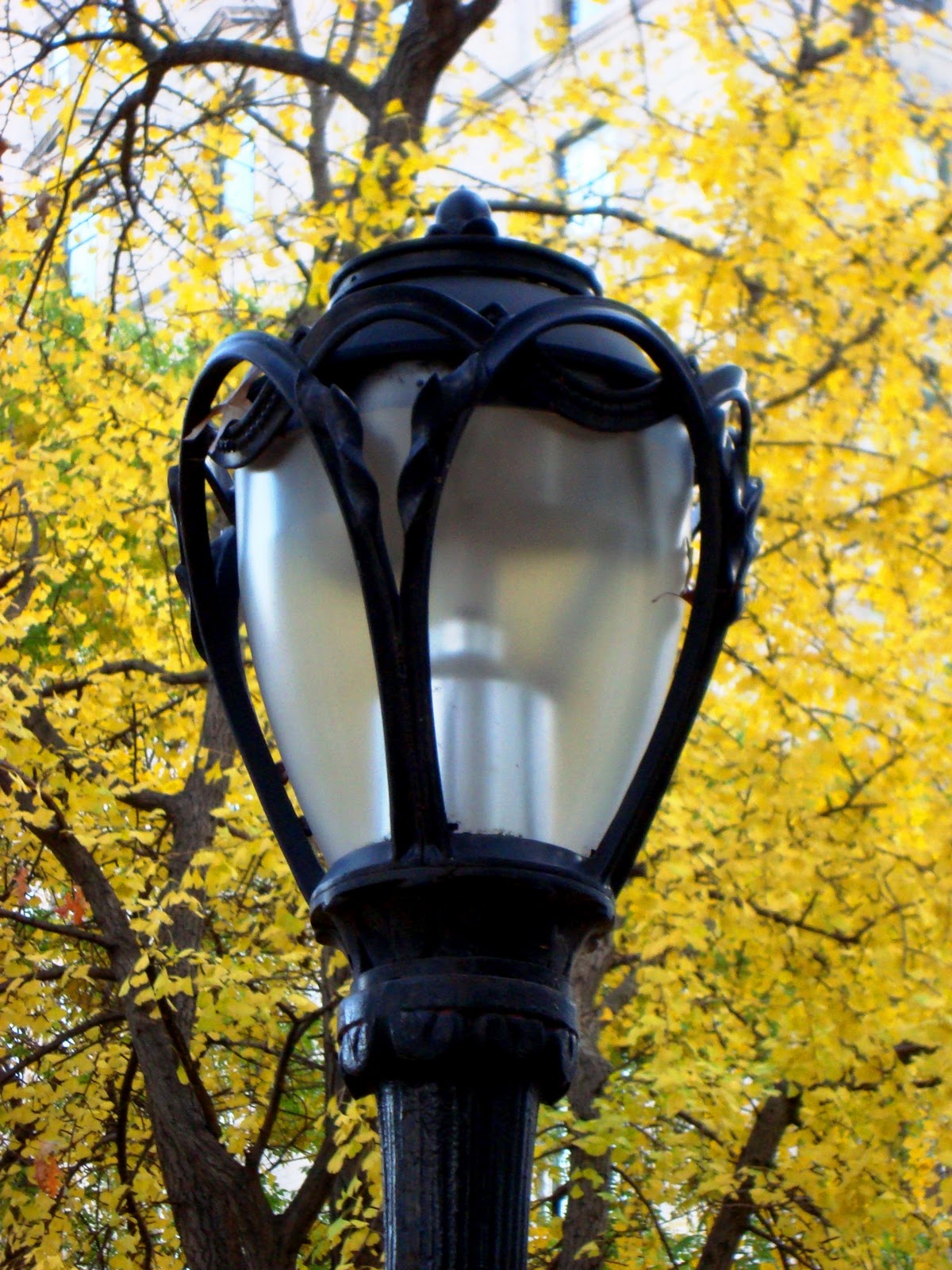 David Cobb Craig Art Nouveau in New York City