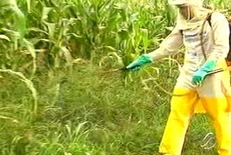 [agrotoxico.jpg]