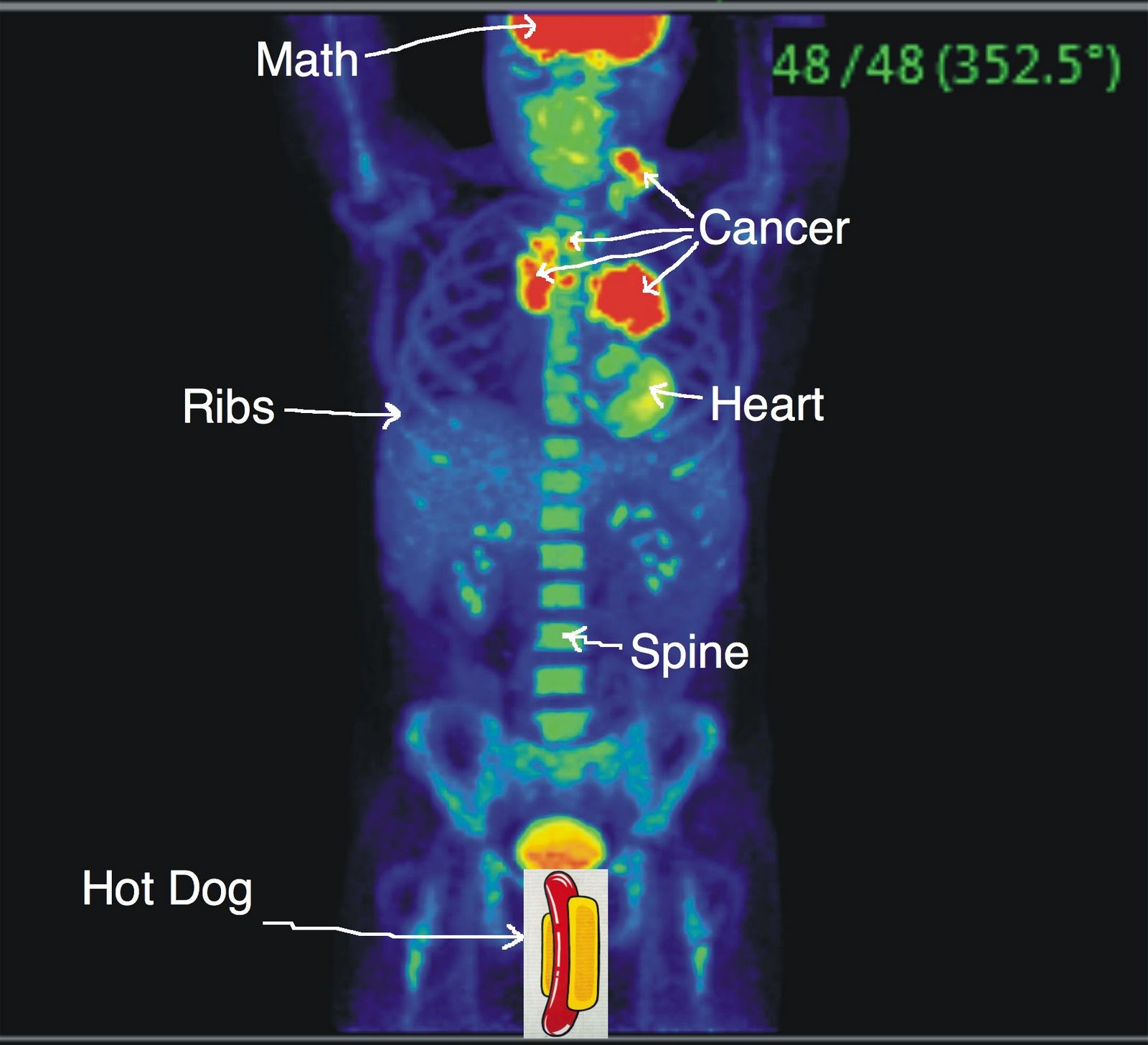 Medium Times Scan Results