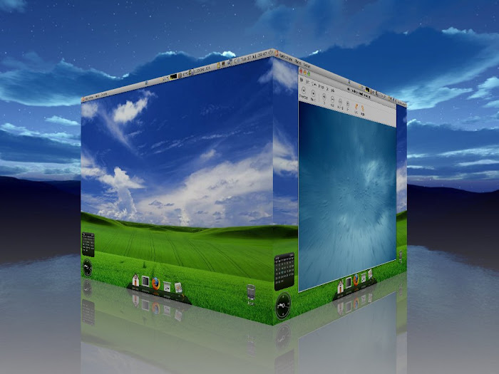 3d Desktop, courtesy Compiz