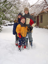 October 2008 Snowstorm