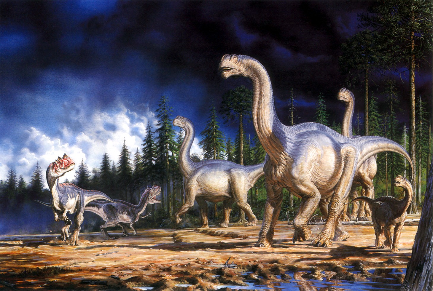 [QMan_PB_SP7_1771_Camarasaurs_and_Ceratosaurs.jpg]