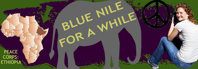 Blue Nile for a While: Peace Corps Adventures
