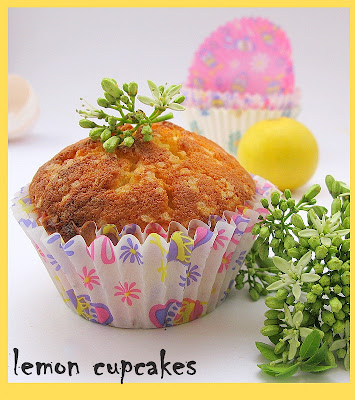 2009 03 04+quesidillas,lime+cupcakes,saffron+ice+cream1