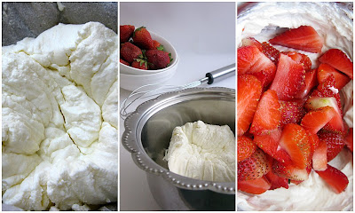 2009 03 13+strwberry+panna+cotta5