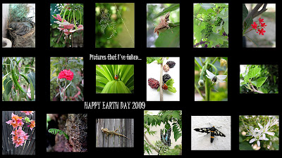 2009 04 18+chicken+on+a+stick