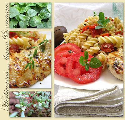 nature+flowers+butterflies1