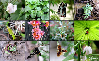 2009 04 04+db+cheesecake+slice2