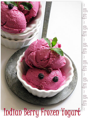 INDIAN BERRY FRO YO ... phalsa frozen yogurt