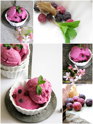 phalsa+sherbet