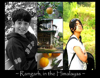 Peach Rosemary Jam ... fruits in the Himalayas