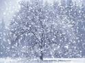 [snow.jpg]