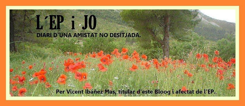 L´EP i JO. Diari de una amistad no desitjada.: QUARANTA - I - TRES.- L