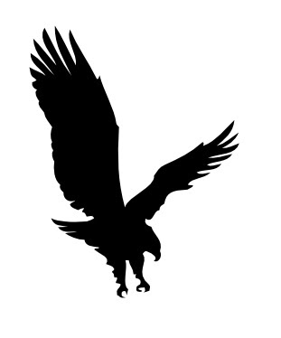 MTCSCAL e-files: a full eagle in flight silhouette
