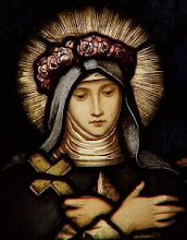Patron of the Blog for 2009 St Rose of Lima