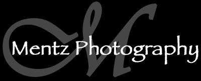 Mentz Photography - Dubuque Wedding Photography