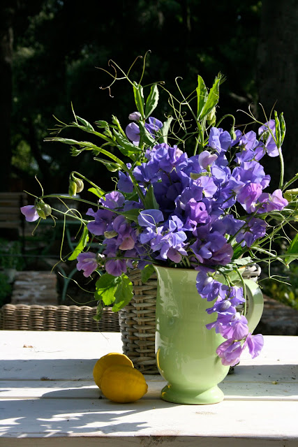 The Polished Pebble: Sweet Pea's and Spring