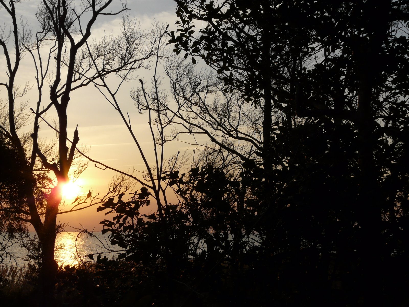 [P1250981.JPG]