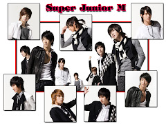 Super Junior Mandarin