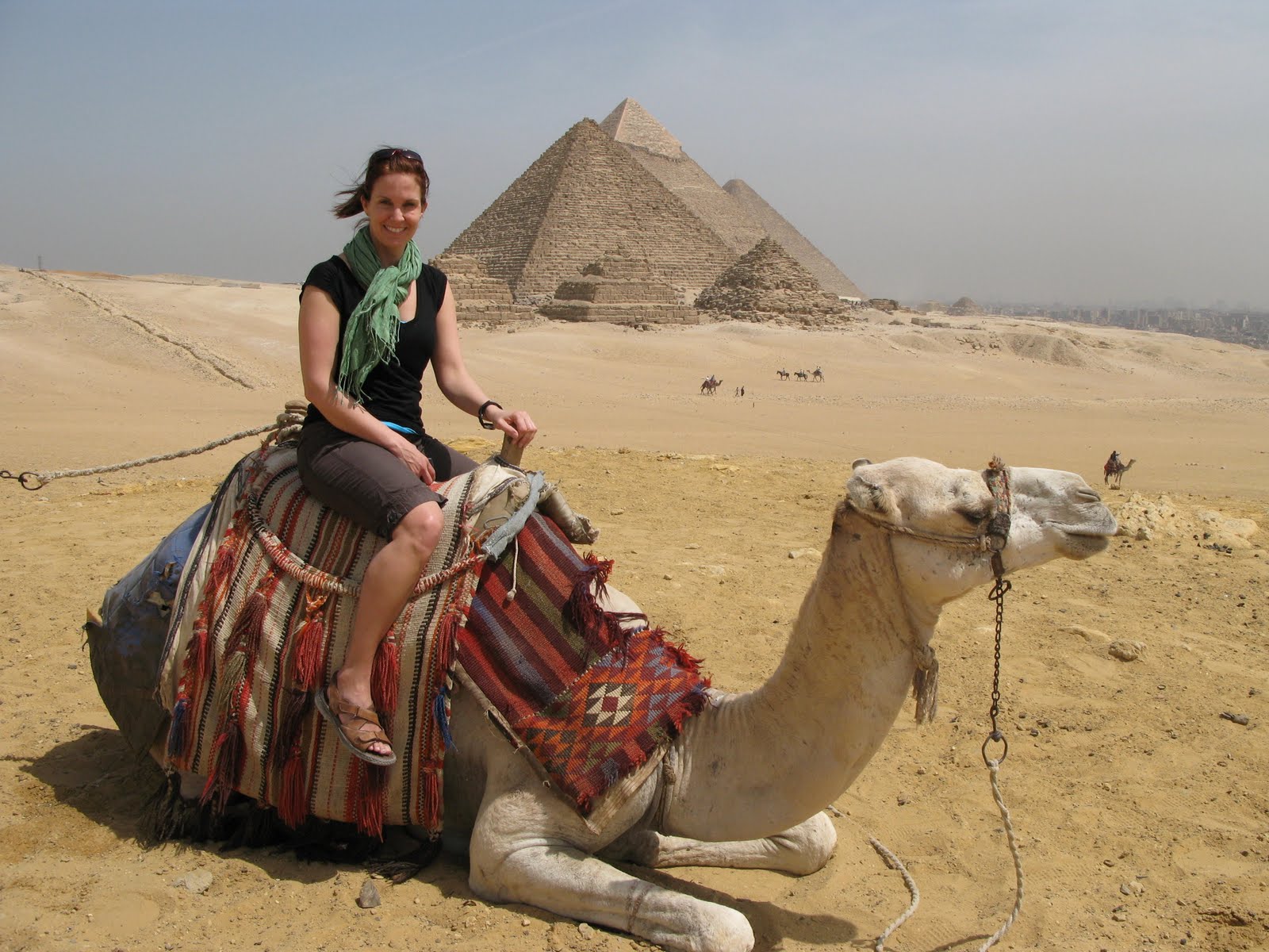 Middle Eastern Delights Giza Camels Memphis