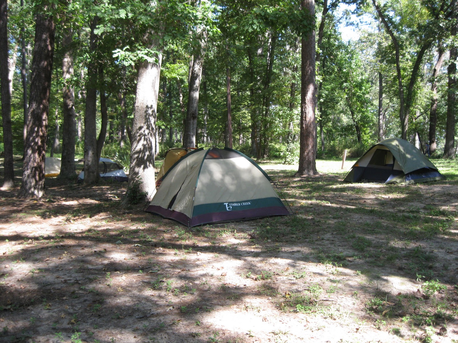 Starting Over Huntsville State Park