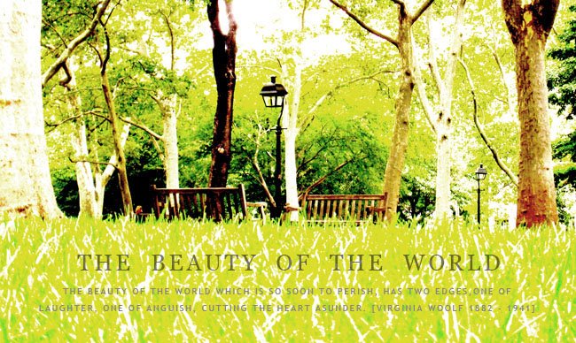 The Beauty of the World