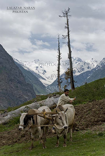 Lalazar,+Naran+ +Pakistan The Beauty of Pakistan: 70 Amazing Photographs