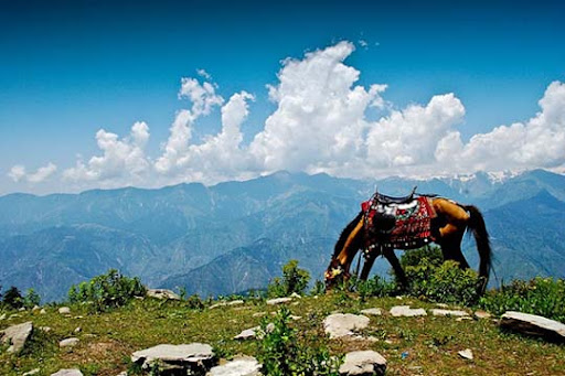 Shogran+ +Paya+Meadows+Top The Beauty of Pakistan: 70 Amazing Photographs