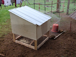 coop chicken water dynamite skills