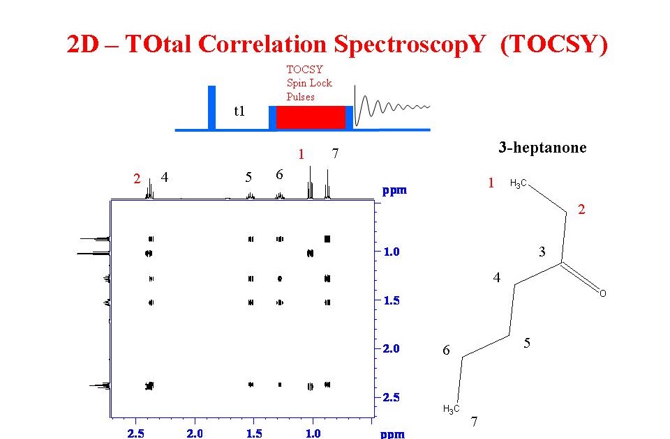 University of Ottawa NMR Facility Blog: 1H TOCSY