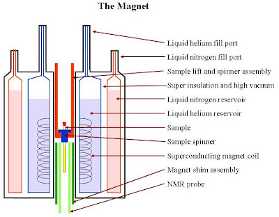 Magnets  Lift Labels