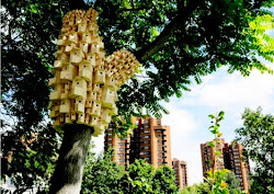 august peoples bringing fieldworks attention urban bird london